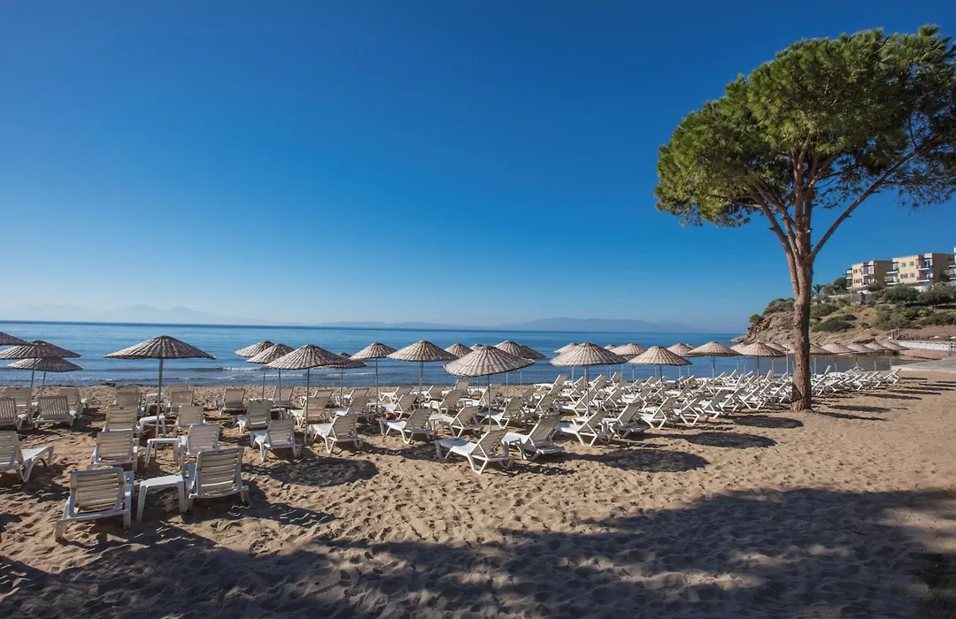 Aria Claros Beach & Spa Resort-1